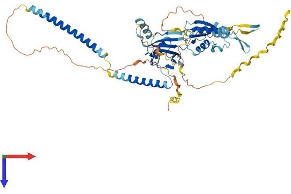 UBXN11 Protein (AA 1-520) (His tag)
