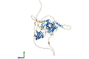 AlphaFold protein structure predicition of Human Recombinant GRHL2 Protein, UniprotID Q6ISB3