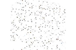 Immunocytochemistry (ICC) image for anti-Zinc Finger E-Box Binding Homeobox 1 (ZEB1) (AA 750-800) antibody (ABIN7455173)