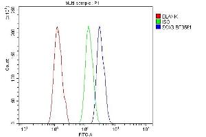 Flow Cytometry analysis of A431 cells using anti-SOX3 antibody (ABIN7600935). (SOX3 antibody  (AA 256-283))