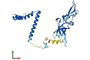AlphaFold protein structure predicition of Mouse Recombinant Nsa2 Protein, UniprotID Q9CR47 (NSA2 Protein (AA 1-260) (His tag))