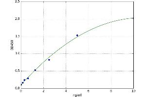 Solute Carrier Family 16, Member 1 (Monocarboxylic Acid Transporter 1) (SLC16A1) ELISA Kit