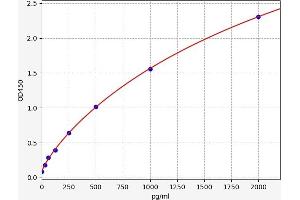 Mu Opioid Receptor 1 ELISA Kit