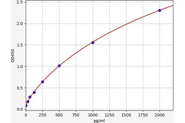 Mu Opioid Receptor 1 ELISA Kit