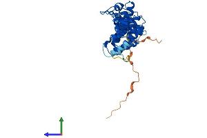 Protein Structure (PS) image for Nuclear Factor of kappa Light Polypeptide Gene Enhancer in B-Cells Inhibitor, delta (NFKBID) (AA 1-313) protein (His tag) (ABIN7548551)