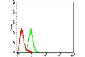 Flow cytometric analysis of Hela cells using EZH1 mouse mAb (green) and negative control (red). (EZH1 antibody  (AA 135-294))