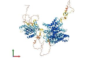 AlphaFold protein structure predicition of Human Recombinant SLC4A9 Protein, UniprotID Q96Q91 (SLC4A9 Protein (AA 1-983) (His tag))