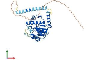 Protein Structure (PS) image for RNA (Guanine-9-) Methyltransferase Domain Containing 3 (RG9MTD3) (AA 1-316) protein (His tag) (ABIN7544511)