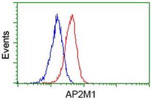Flow cytometric Analysis of Jurkat cells, using anti-AP2M1 antibody (ABIN2454661), (Red), compared to a nonspecific negative control antibody, (Blue). (AP2M1 antibody  (AA 97-383))