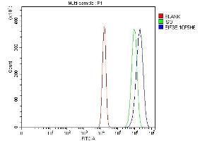 Flow Cytometry analysis of U20S cells using anti-EIF3E antibody (ABIN7600189). (EIF3E antibody  (AA 160-241))