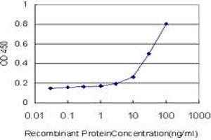 Detection limit for recombinant GST tagged TAZ is approximately 10ng/ml as a capture antibody. (TAZ antibody  (AA 1-262))