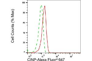 Flow cytometric analysis of CINP expression in HepG2 cells using CINP antibody (ABIN7798087), 1:2,000). (CINP antibody)