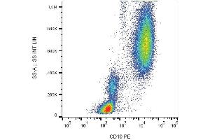 Surface staining of human peripheral blood cells with anti-CD10 (LT10) PE. (MME antibody  (PE))