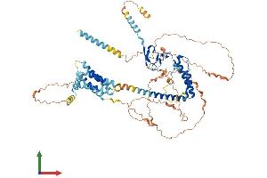 AlphaFold protein structure predicition of Human Recombinant TMEM201 Protein, UniprotID Q5SNT2 (TMEM201 Protein (AA 1-666) (His tag))