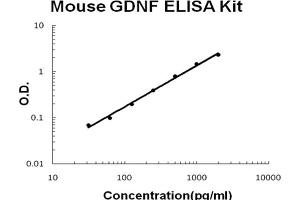 Mouse GDNF Accusignal ELISA Kit Mouse GDNF AccuSignal ELISA Kit standard curve.