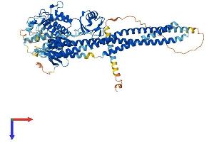 IKK alpha Protein (AA 1-745) (His tag)