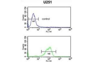 Flow Cytometry (FACS) image for anti-Interleukin 5 Receptor, alpha (IL5RA) antibody (ABIN3002275) (IL5RA antibody)