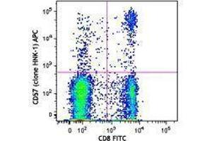 Flow Cytometry (FACS) image for anti-beta-1,3-Glucuronyltransferase 1 (Glucuronosyltransferase P) (B3GAT1) antibody (APC) (ABIN2658256) (CD57 antibody  (APC))