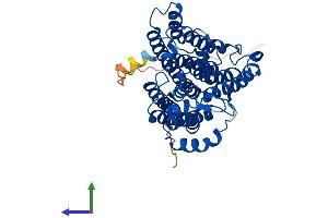 Protein Structure (PS) image for Choline/ethanolamine phosphotransferase 1 (CEPT1) (AA 1-416) protein (His tag) (ABIN7553354)