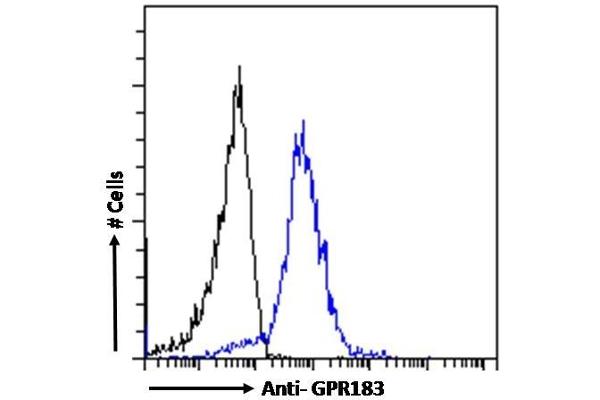 GPR183 antibody  (Internal Region)