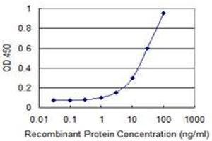 Detection limit for recombinant GST tagged NIT1 is 1 ng/ml as a capture antibody. (Nitrilase 1 antibody  (AA 228-327))