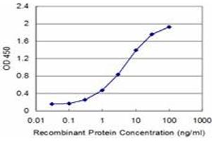 Detection limit for recombinant GST tagged CIRBP is approximately 0. (CIRBP antibody  (AA 1-90))