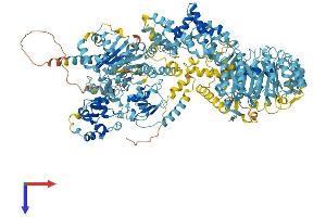 NLR Family, Apoptosis Inhibitory Protein 7 (NAIP7) (AA 1-1403) protein (His tag)
