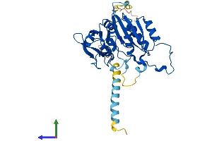 AlphaFold protein structure predicition of Human Recombinant B3GAT1 Protein, UniprotID Q9P2W7 (CD57 Protein (AA 1-334) (His tag))