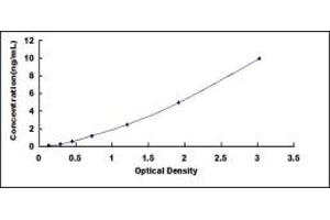 Typical standard curve (FCN1 ELISA Kit)