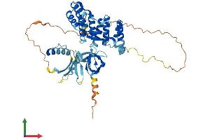 AlphaFold protein structure predicition of Mouse Recombinant Noxa1 Protein, UniprotID Q8CJ00 (NOXA1 Protein (AA 1-444) (His tag))