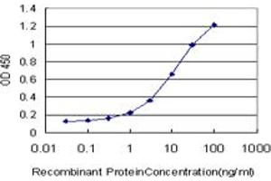 ELISA image for anti-Myocyte Enhancer Factor 2A (MEF2A) (AA 71-170) antibody (ABIN517818)