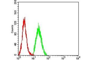 Flow Cytometry (FACS) image for anti-Cyclin D1 (CCND1) (AA 1-295) antibody (ABIN7193695)