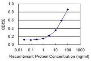 Detection limit for recombinant GST tagged BMPR2 is 0. (BMPR2 antibody  (AA 939-1037))