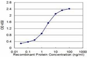 Detection limit for recombinant GST tagged CLPS is approximately 0. (CLPS antibody  (AA 1-112))