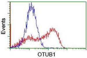 Image no. 1 for anti-OTU Domain, Ubiquitin Aldehyde Binding 1 (OTUB1) antibody (ABIN1499931) (OTUB1 antibody)