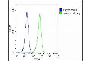 Overlay histogram showing Hela cells stained with C(green line). (Gc (AA 337-365), (Center) antibody)