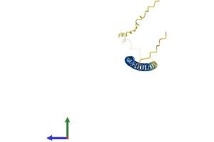 Protein Structure (PS) image for Short Coiled-Coil Protein (SCOC) (AA 1-125) protein (His tag) (ABIN7558184)
