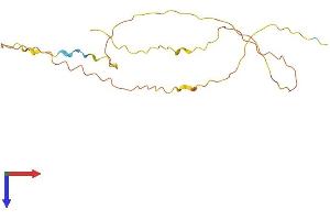 AlphaFold protein structure predicition of Human Recombinant C20orf203 Protein, UniprotID Q8NBC4 (C20orf203 Protein (AA 1-194) (His tag))