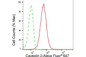 Flow cytometric analysis of Caveolin 2 expression in HepG2 cells using Caveolin 2 antibody (ABIN7797946), 1:2,000). (Recombinant Caveolin 2 antibody)