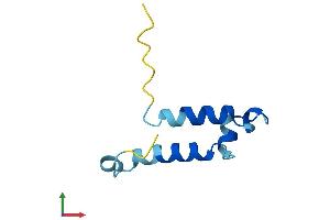 AlphaFold protein structure predicition of Mouse Recombinant Coa5 Protein, UniprotID Q99M07 (COA5 Protein (AA 1-74) (Fc Tag))