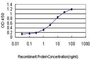 Detection limit for recombinant GST tagged PTK2 is approximately 0. (FAK antibody  (AA 355-490))