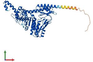 Protein Structure (PS) image for Sep (O-phosphoserine) tRNA:Sec (Selenocysteine) tRNA Synthase (SEPSECS) (AA 1-504) protein (His tag) (ABIN7558006)