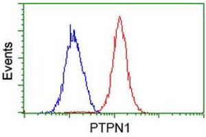 Image no. 2 for anti-Protein tyrosine Phosphatase, Non-Receptor Type 1 (PTPN1) antibody (ABIN1500497)