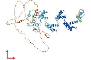 AlphaFold protein structure predicition of Human Recombinant ZNF10 Protein, UniprotID P21506 (ZNF10 Protein (AA 1-573) (His tag))