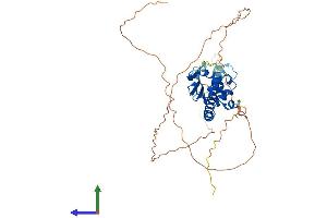 AlphaFold protein structure predicition of Human Recombinant TSPYL4 Protein, UniprotID Q9UJ04 (TSPY-Like 4 Protein (TSPYL4) (AA 1-414) (His tag))