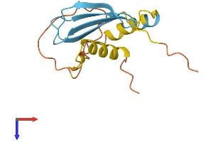 Postmeiotic Segregation Increased 2 Pseudogene 5 (PMS2P5) (AA 1-134) protein (His tag)