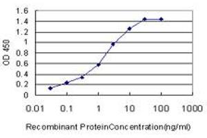 Detection limit for recombinant GST tagged HCRTR2 is approximately 0. (HCRTR2 antibody  (AA 1-54))