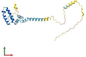 AlphaFold protein structure predicition of Human Recombinant DNAJC5 Protein, UniprotID Q9H3Z4 (DNAJC5 Protein (AA 1-198) (His tag))