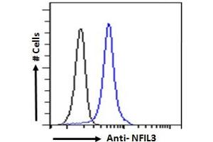 ABIN184644 Flow cytometric analysis of paraformaldehyde fixed Human peripheral blood mononuclear cells (blue line), permeabilized with 0. (NFIL3 antibody  (C-Term))