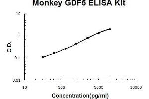 Monkey Primate GDF5 PicoKine ELISA Kit standard curve